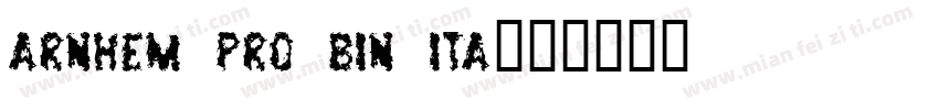 arnhem pro bin ita字体转换